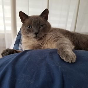 Meet your Posher, Evelynn